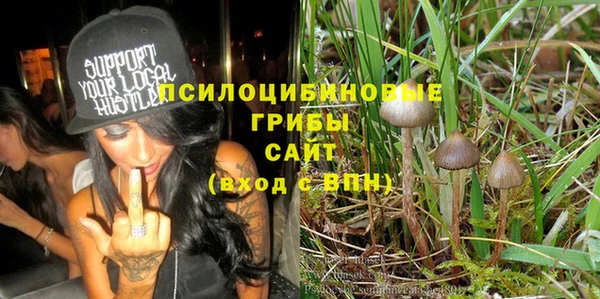 стаф Надым