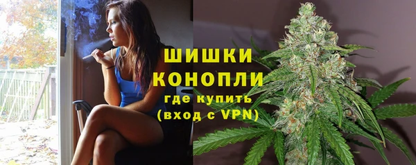 стаф Надым